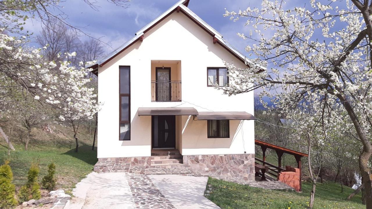 Casa Flutar Villa Moisei Buitenkant foto