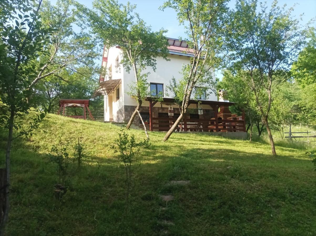 Casa Flutar Villa Moisei Buitenkant foto