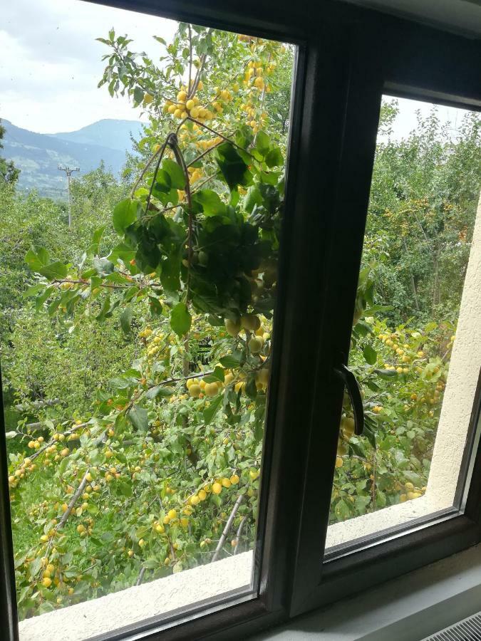 Casa Flutar Villa Moisei Buitenkant foto