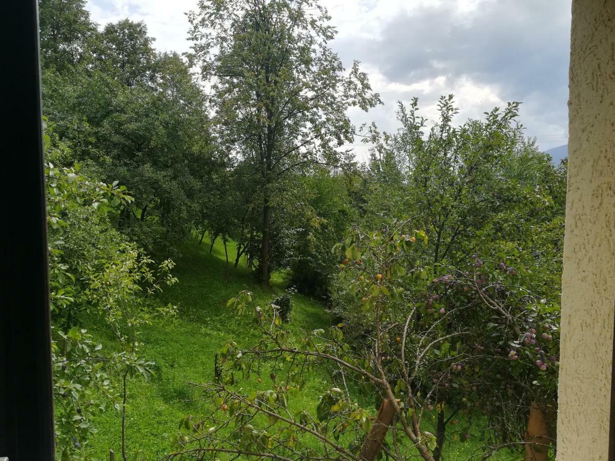 Casa Flutar Villa Moisei Buitenkant foto